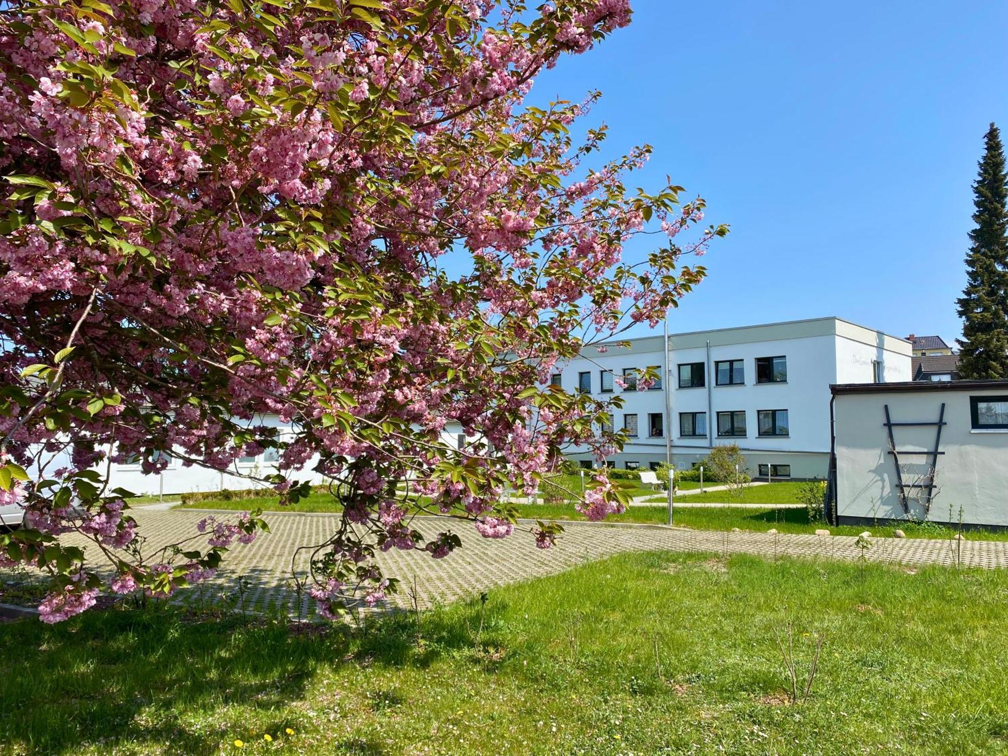 Apartment Ferientiet Bergen Auf Rugen Exterior foto